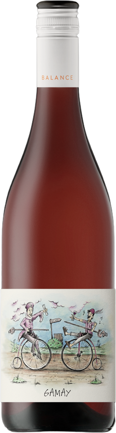 See Saw Incubator Gamay 2024